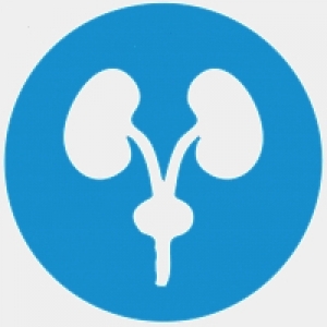 Urologia